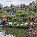 자연생활