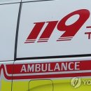 주차15 이미지