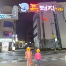 쌍용자동차 제주서비스프라자 | 3월 4월 제주 여행 유채꽃 명소 제주 맛집 코스 아이와 제주갈만한 곳