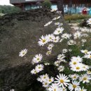 산들소리 파케어