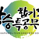 SSMA 상승합기도 특공무술 네이버블로그