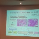 러넥스 이미지