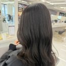 예쁘게헤어샵 | 창원 미용실 헤어샵 클리닉 받고온 후기 비비엔느헤어 창원상남점