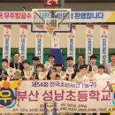 성남초 뉴스1