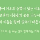 헬로우버디 이미지