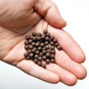 늘푸른농장2 이미지