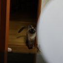 놀아줘 이미지
