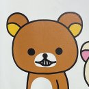 202405 정신 차려 사회초년생 혼자서도 강하게 살아야 해
