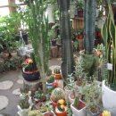 라벤더하우스 이미지