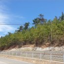 내리 다목적회관 이미지