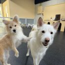 멍스가든 이미지