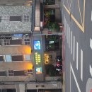 대만 양명산 하프종주 ( 2026.4.29 ) 이미지