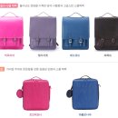 레인보우스칼라 이미지