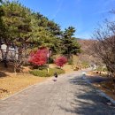 물레방아공원 | 대구근교 구미근교 김천 아이랑 가볼만한곳 추천 직지사 나들이 사명대사공원 솔직 방문 후기