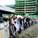 프라미스콤플렉스 이미지