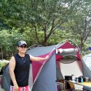 내리계곡 솔밭캠핑장 이미지