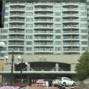 웰리힐리당구장 | 강원도 웰리힐리 리조트 객실후기, 부대시설