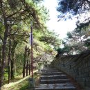 수원-1801 이미지