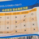 솔밭수상레저 | 전남 해남 송호 해수욕장 개장일 및 물놀이 가기 좋은 곳