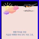 4월엔 꽃길만 걷자! //인생 즐겁게 살자//나이가 들면 정말 무서운것이있다 이미지