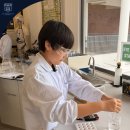 MCM-pupils from Year 4 to Year 8 have developed their scientific thinking, 이미지