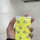 가고파플라워 | 싱가포르 후기