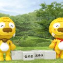 솔로몬도서관 이미지