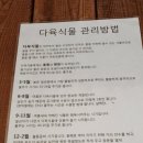리즈다육