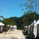 인천대공원 야영장 이미지