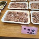 서초구/우면동 반찬가게 [밥상은보약]오곡밥, 정월대보름 음식 내돈내산 후기