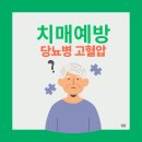 피할 수 없는 유해물질과 치매예방 | 치매 예방 골든타임은 중년기! 당뇨·고혈압 관리가 운명 가른다