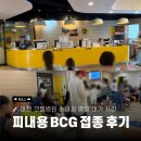 대전코젤병원 | 대전 코젤병원 피내용 BCG 접종 후기, 흉터 비교