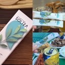 음주 전 숙취해소제 PLT50 마일드 그린티 물에타먹는 숙취해소제 후기