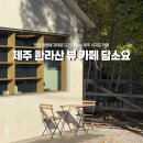 제주 서귀포 가볼 만한 곳 한라산 뷰 제주도 핫 플 카페 담소요