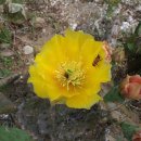 재섭농장 이미지