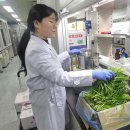 (주)호남해외관광 이미지