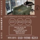 널스뷰티 숲칼프 세종점