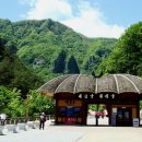 부산한백산악회 칠십 일곱째 산행지 "삼척 환선굴"(8월17일 일요일) 이미지