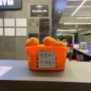 다대263 | 다대포헬스장/다대포PT '아이언짐 헬스장 네이버 리뷰 총정리 (+솔직후기)'