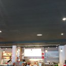 용토스트 이미지