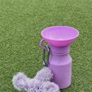 안녕하개 | 강아지 배변봉투 똥츄_키링 처럼 달고 다니는 ‘스프링어 풉백+디스펜서’