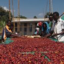 씨케이글로벌㈜ 이미지