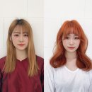 오렌지 카 크리닉 이미지