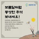 봄봄메디칼 이미지