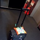 티파니♥의 일본여행기 리뉴얼 3탄. [디즈니랜드 정ㅋ벅 편] 이미지