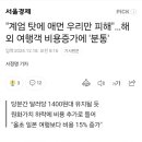 계엄 때문에 해외여행비 올랐다! 분통 이미지