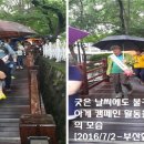 성지곡지 이미지