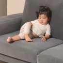 하도살이 이미지