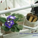 가든세탁소 이미지