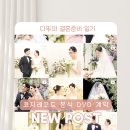 카리스웨딩 본식 DVD 추천!코지레코드 계약후기 :D +짝꿍할인코드♡